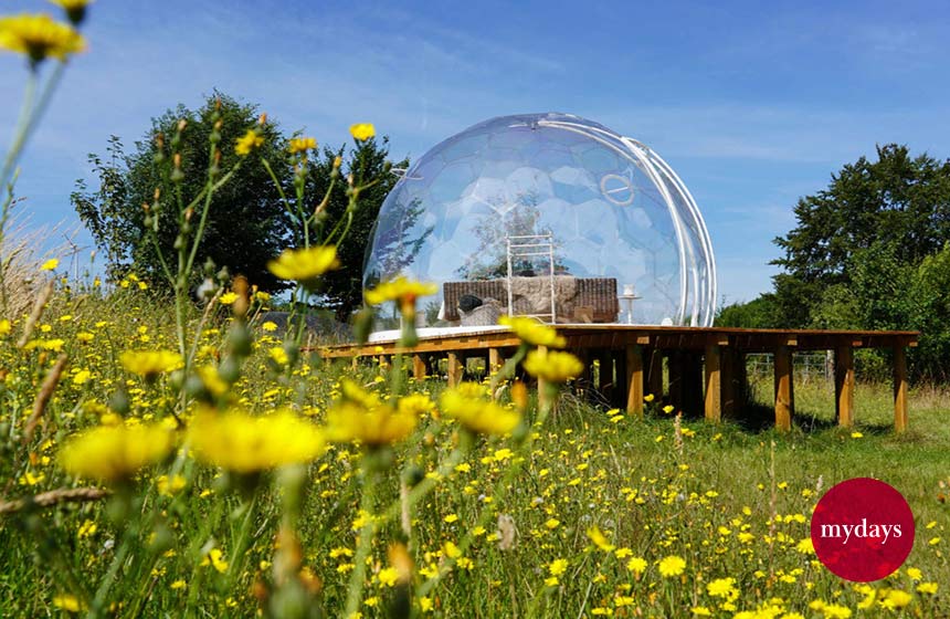 Ein Bubble Hotel in der Natur