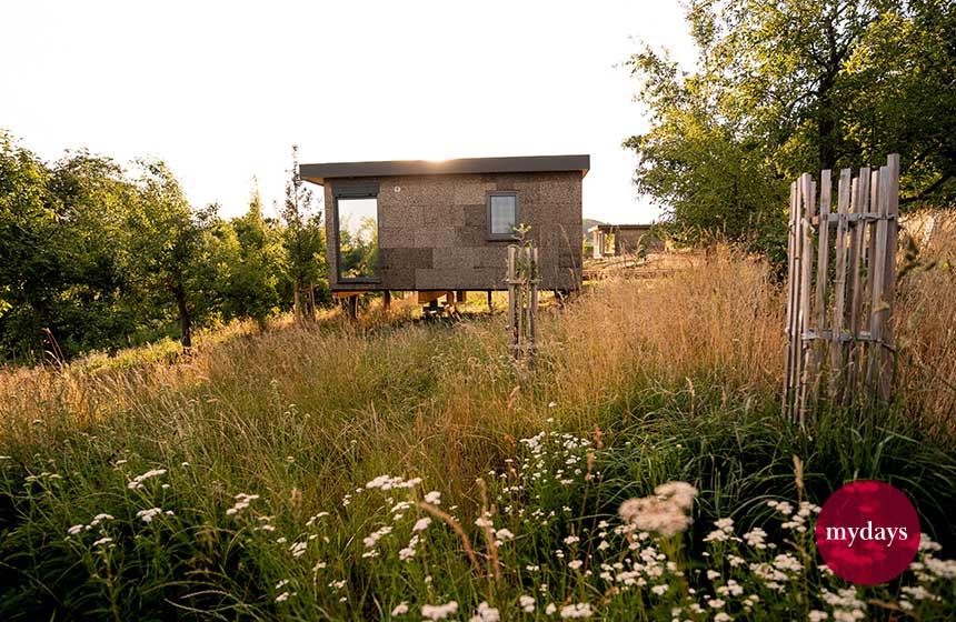 Chalet auf einer grünen Wiese