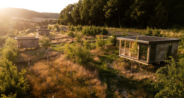Chalets auf einer Wiese