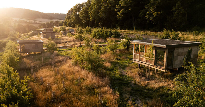 Chalets auf einer Wiese