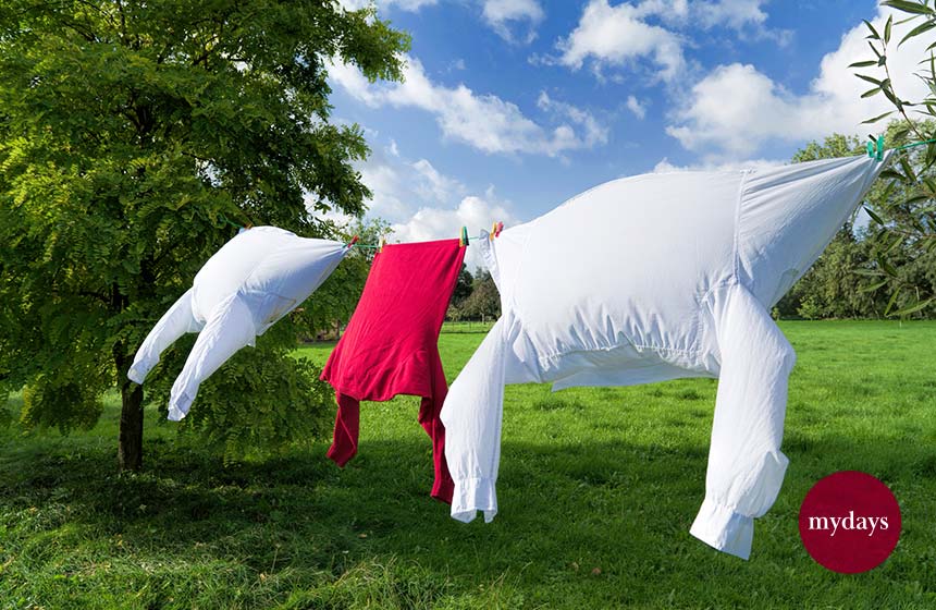 Weiße und rote Wäsche auf einer Wäscheleine