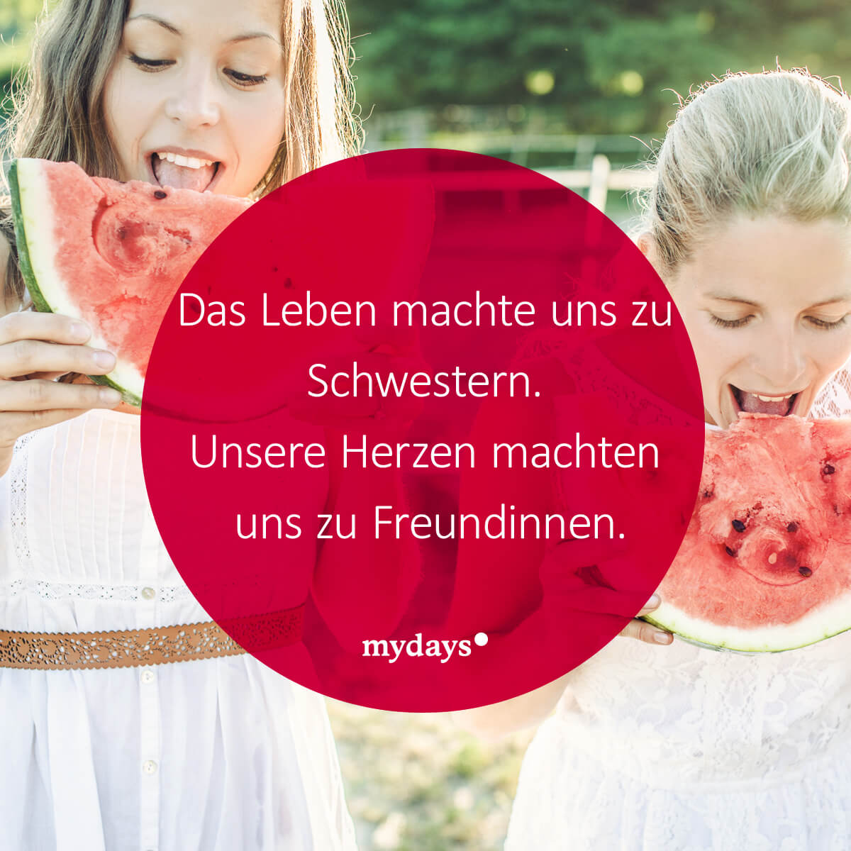 Geschwistersprüche Sprüche für Bruder & Schwester mydays Magazin