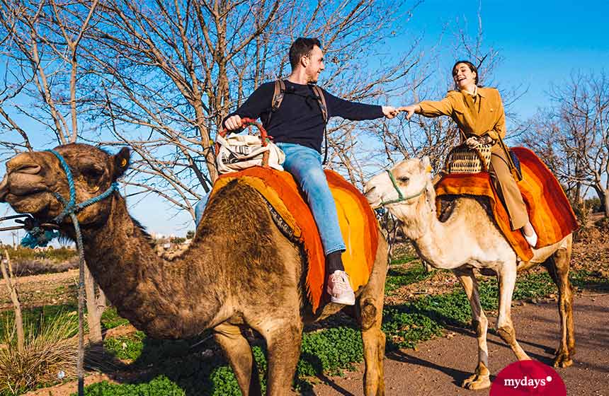 Paar genießt Erlebnis mit Kamelen