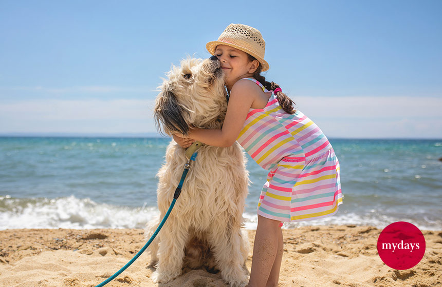 Sommerurlaub am Strand mit Hund und Kind